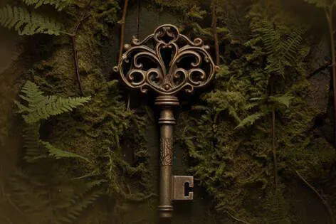 Экшн-игра «Форт Боярд» от Fort Boyard