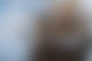 Фотография квеста Приключения пиратов от компании QuestQuest (Фото 1)