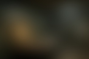 Фотография квеста Лавка мясника от компании QuestQuest (Фото 1)