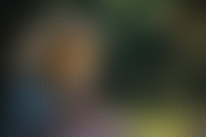 Фотография квеста Возвращение Алисы от компании Интуиция (Фото 1)