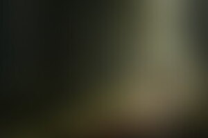 Фотография квеста-анимации Викинги от компании Логика (Фото 1)