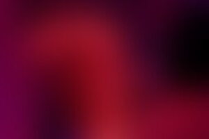 Фотография экшн-игры Игра в кальмара от компании Охота в темноте (Фото 5)