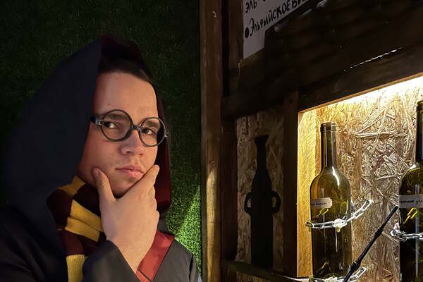 Новое приключение Гарри