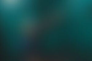 Фотография перформанса Гости от компании Imperia Quest (Фото 3)