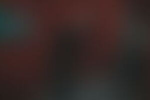 Фотография перформанса Гости от компании Imperia Quest (Фото 4)