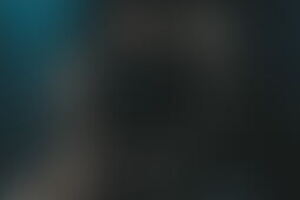 Фотография перформанса Гости от компании Imperia Quest (Фото 5)