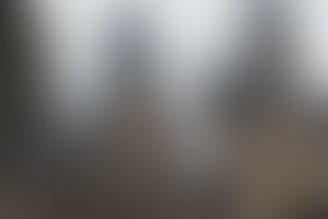 Фотография квеста Хогвартс и дары смерти от компании Изоляция (Фото 1)