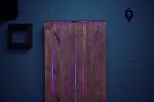 Фотография перформанса Бабадук: дом страха от компании Art Quest (Фото 4)