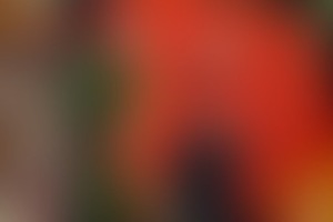 Фотография квеста Супергеройский квест от компании Изоляция (Фото 1)