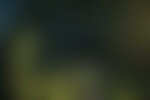 Фотография городского квеста Эко-парк от компании Городской студенческий центр (Фото 1)