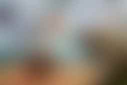 Фотография ролевого квеста Остаться в живых от компании Questoria (Фото 1)